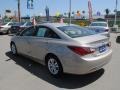 Camel Pearl - Sonata GLS Photo No. 18