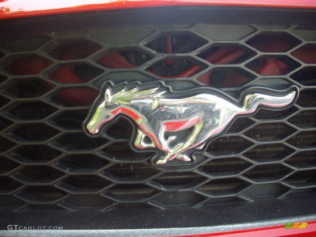2007 Mustang V6 Premium Coupe - Torch Red / Dark Charcoal photo #11