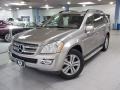 2009 Pewter Metallic Mercedes-Benz GL 450 4Matic  photo #1