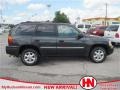 Graphite Gray Metallic - Envoy SLE Photo No. 1