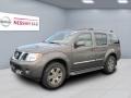 Desert Stone 2008 Nissan Pathfinder LE 4x4
