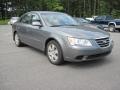Willow Gray - Sonata GLS Photo No. 4