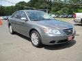 Willow Gray - Sonata GLS Photo No. 4