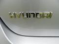 2011 Moonstone Silver Hyundai Santa Fe Limited AWD  photo #15