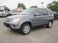 Pewter Pearl - CR-V SE 4WD Photo No. 1