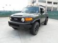 Army Green - FJ Cruiser Trail Teams Special Edition 4WD Photo No. 7