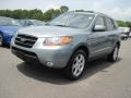 2008 Platinum Sage Hyundai Santa Fe SE  photo #1