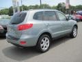 2008 Platinum Sage Hyundai Santa Fe SE  photo #3