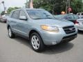 2008 Platinum Sage Hyundai Santa Fe SE  photo #4