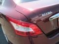Tuscan Sun Metallic - Maxima 3.5 SV Photo No. 5