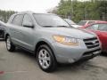 Steel Gray - Santa Fe SE 4WD Photo No. 4