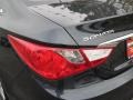 Pacific Blue Pearl - Sonata GLS Photo No. 5