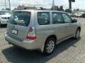 2007 Crystal Gray Metallic Subaru Forester 2.5 X Premium  photo #11