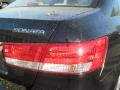 Ebony Black - Sonata GLS Photo No. 5