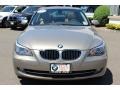 2009 Platinum Bronze Metallic BMW 5 Series 528xi Sedan  photo #2