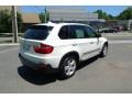 Alpine White - X5 xDrive30i Photo No. 5