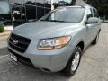 2008 Platinum Sage Hyundai Santa Fe GLS 4WD  photo #1