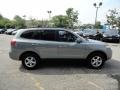 Platinum Sage - Santa Fe GLS 4WD Photo No. 8