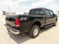 Black - F250 Super Duty XLT Super Crew 4x4 Photo No. 8