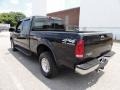 Black - F250 Super Duty XLT Super Crew 4x4 Photo No. 10
