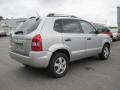 Platinum Metallic - Tucson GLS Photo No. 3