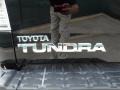 2010 Black Toyota Tundra Double Cab  photo #22