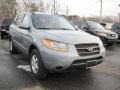 2008 Platinum Sage Hyundai Santa Fe GLS  photo #4