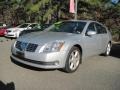 Liquid Silver Metallic - Maxima 3.5 SE Photo No. 1