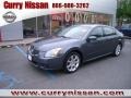 2008 Dark Slate Metallic Nissan Maxima 3.5 SE  photo #26