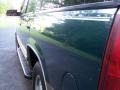 1998 Emerald Green Metallic Chevrolet Tahoe LT 4x4  photo #19