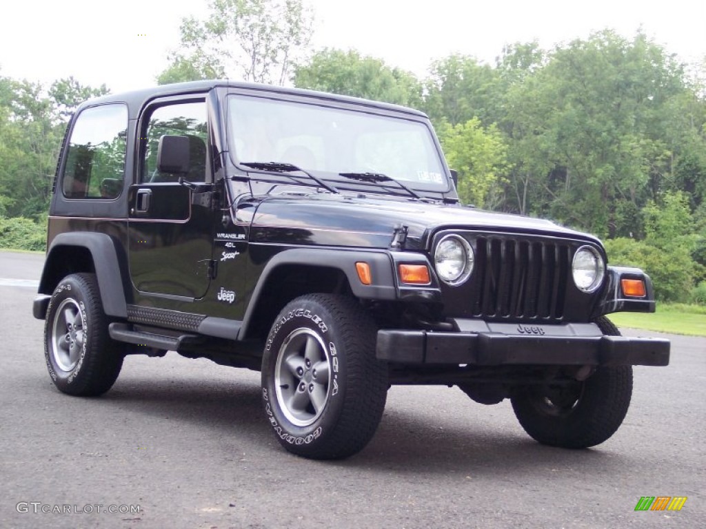 1999 Wrangler Sport 4x4 - Black / Agate photo #12