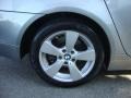 Titanium Grey Metallic - 5 Series 525xi Sedan Photo No. 32