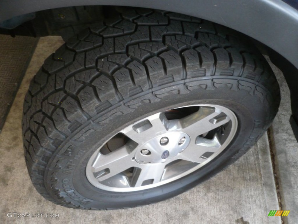 2004 F150 FX4 SuperCrew 4x4 - True Blue Metallic / Dark Flint photo #23