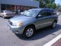 Everglade Metallic - RAV4 4WD Photo No. 26