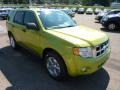 2012 Lime Squeeze Metallic Ford Escape XLT 4WD  photo #6