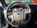 Steel Blue Metallic - Escape Limited V6 4WD Photo No. 17