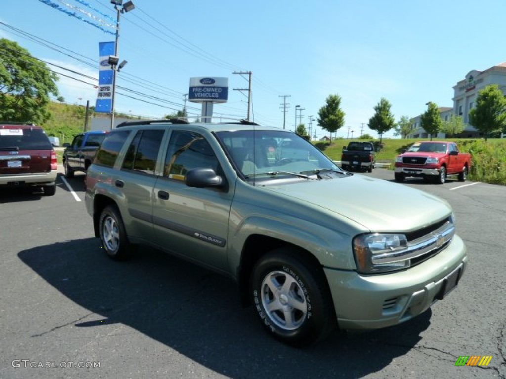 2004 TrailBlazer LS 4x4 - Silver Green Metallic / Medium Pewter photo #1