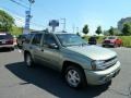 2004 Silver Green Metallic Chevrolet TrailBlazer LS 4x4  photo #1