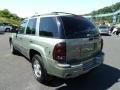 2004 Silver Green Metallic Chevrolet TrailBlazer LS 4x4  photo #4