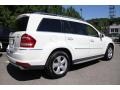 Arctic White - GL 450 4Matic Photo No. 6