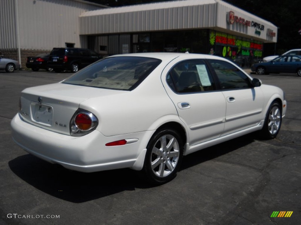 2002 Nissan pearl paint #8
