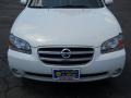 Glacier White Pearl - Maxima GLE Photo No. 18