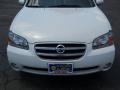 2002 Glacier White Pearl Nissan Maxima GLE  photo #18