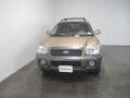 2003 Sandstone Hyundai Santa Fe LX 4WD  photo #2