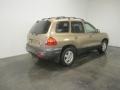 2003 Sandstone Hyundai Santa Fe LX 4WD  photo #11