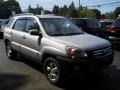 Satin Silver - Sportage EX 4WD Photo No. 14