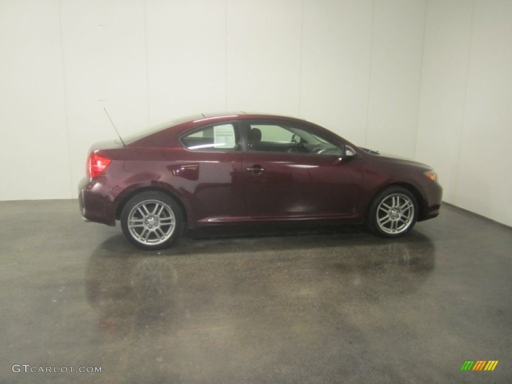 2005 tC  - Black Cherry Pearl / Dark Gray photo #11