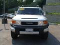Titanium Metallic - FJ Cruiser 4WD Photo No. 3
