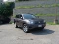 Magnetic Gray Metallic - Highlander 4WD Photo No. 1