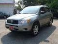 Everglade Metallic - RAV4 4WD Photo No. 4